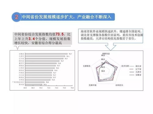 2019年中国软件和信息技术服务业综合发展指数报告发布 基础软件与技术服务成焦点